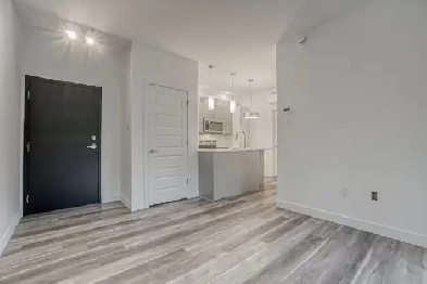 Beautiful One-Bedroom Apartment – Available September 1st Image# 2