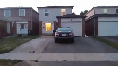 Scarborough House Basement Room For Rent Image# 1