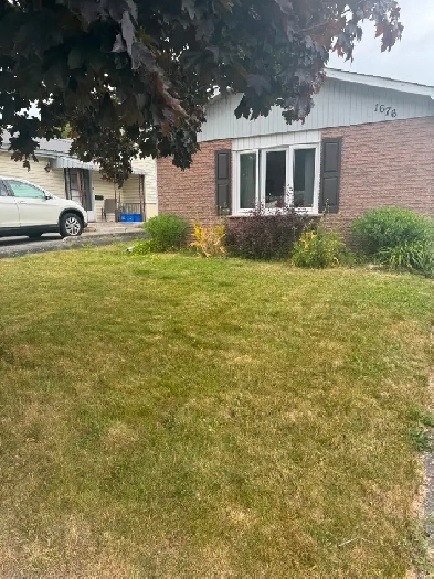 2 Bright Bedrooms for Rent – Ideal for Female Students Image# 1