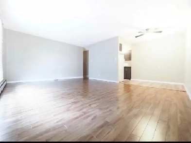 2 Bedroom 1 Bath Apartment Image# 9