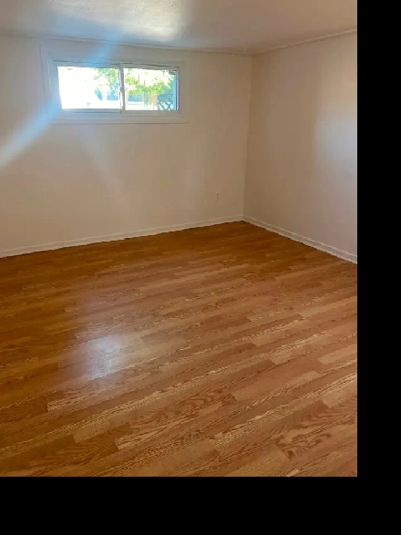 One bedroom apartment for rent Image# 4