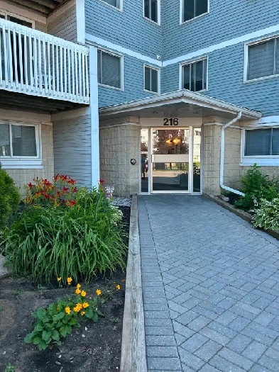 One Bedroom Apartment for Rent Image# 4