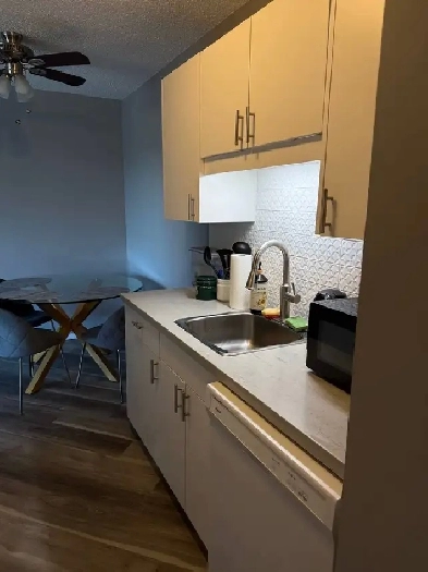 Lease Takeover - 2 Bed/1 Bath Image# 8