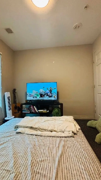Private room for rent Image# 3