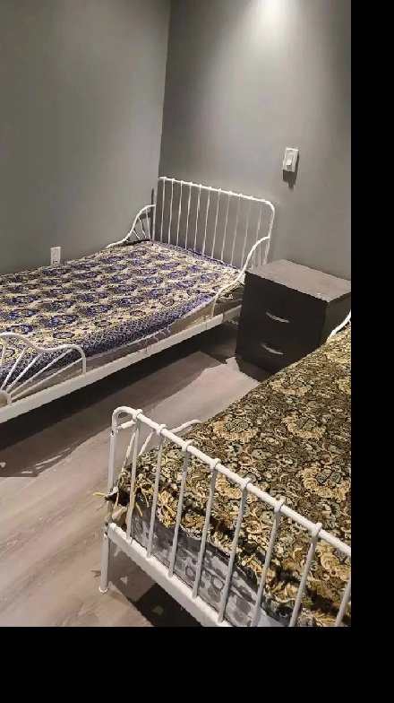 ROOM FOR RENT GIRLS ONLY,  IN MALTON MISSISSAUGA Image# 3
