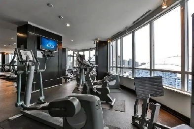 Apartment looking for 1 roommate Image# 1
