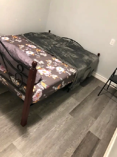 Private Basement Room in Scarborough for Rent from September 01 Image# 4