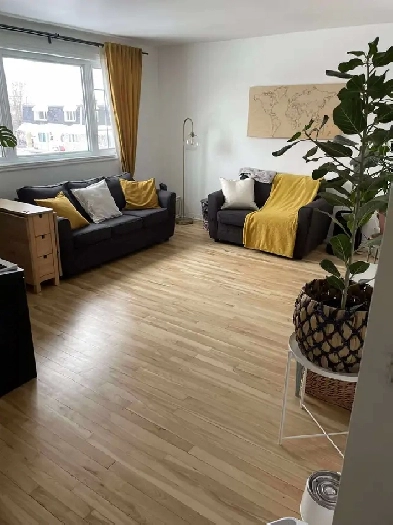 à louer appartement 5 1/2 Image# 5
