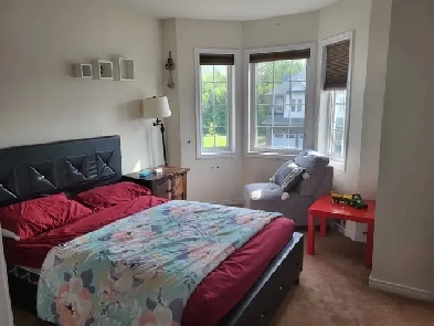 Rooms for rent - near Waterloo Airport Image# 7