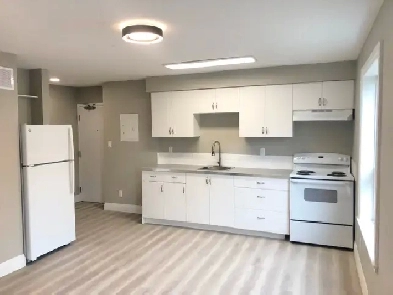 Open Concept 1 Bedroom Apartment -Central Kitchener near Google Image# 5