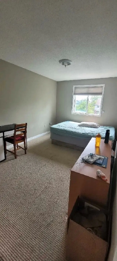 Furnished room in South Guelph Image# 2