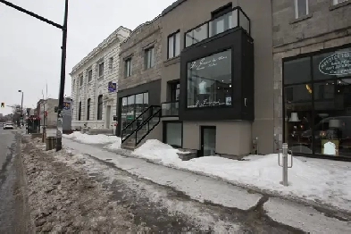 Local Commercial & Résidentiel - Avenue du Parc_Coin Laurier Image# 2
