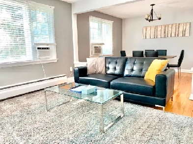 3-BEDROOM FURNISHED APARTMENT, EVERYTHING INCLUDED Image# 7