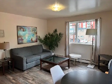 Fully furnished 1 bedroom and studio downtown apartment UofS Image# 9