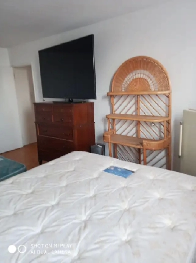Etobicoke 1 Room for Rent in Spacious Apartment Image# 1