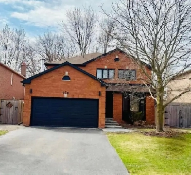 Fully Renovated Detached Home For Rent Image# 4