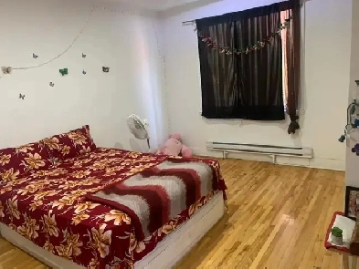 Big room available for rent Image# 1
