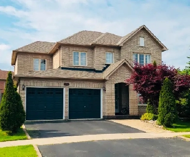 Huge Master Bdrm Suite,For Rent,Availabe Anytime, Richmond Hill Image# 8