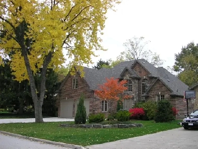 Nice home for rent at South Windsor Image# 7