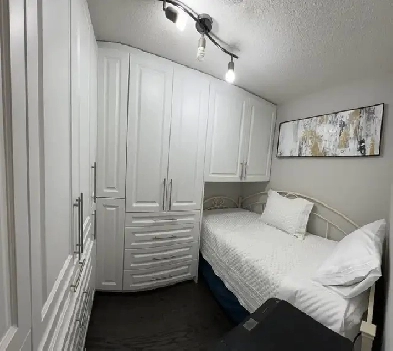 Furnished Den/Room, Downtown, King/John, Sep 1st, Female only Image# 4