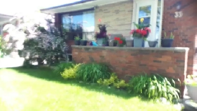 Furnished Room for Rent Brimley & St. Clair Sept 1 Image# 2