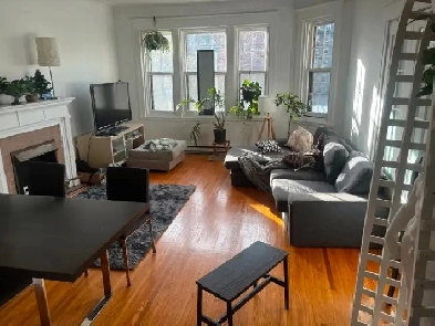 Friendly Stude Downtown Apartment Seeking Student Roommate Image# 6