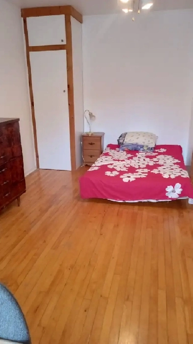 CHAMBRE EN COLOCATION ETUDIANTE OU TREVAILLEUSE Image# 1