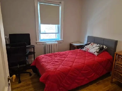 Furnished Room for Rent in Beaches Image# 4