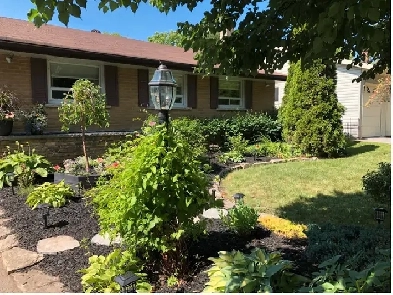 Beautiful Bungalow Backing On To Jackson Park I 3 1 BdRm Image# 1