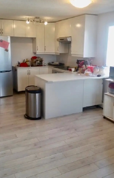 VEGREVILLE/ New Reno 1 Bedroom Apt/ Hardwood/ Top Flr Balcony Image# 1