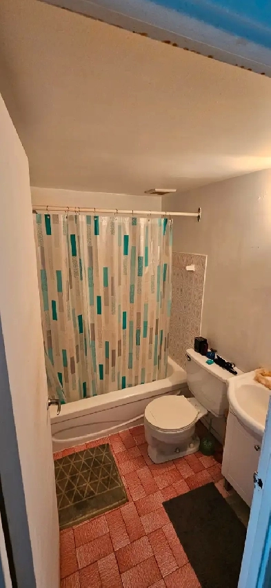 CESSION DE BAIL – STUDIO TOUT INCLUS  | Plateau Mont Royal Image# 6