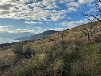 0000 Bella Vista Road Vernon, British Columbia (MLS#: 10356432) Image# 8