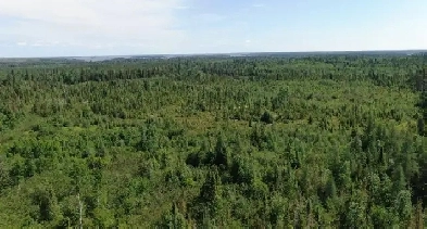 40 AC of Land in Northern Ontario Access to Lake Access Timmins! Image# 3