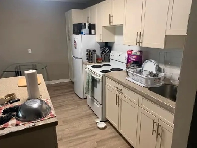 1 BR Apartment at 1281 Grant Avenue, $1149pcm Utilities Included Image# 4