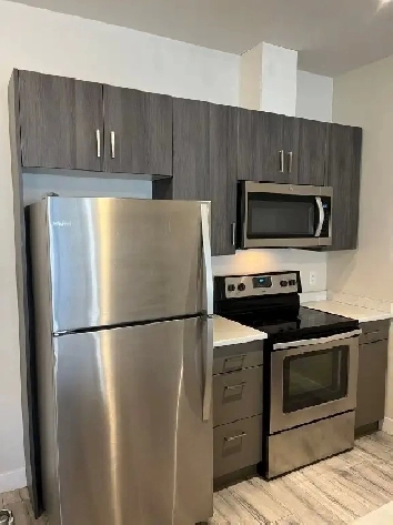 309-1659 Trans Can Hwy E - 2 Bedroom for Rent - $2000 per month Image# 10