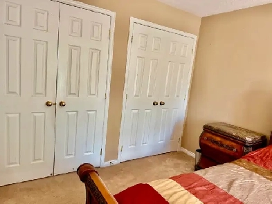 urgent room for rent female student or professional only Image# 1