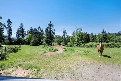 Welcome to your own slice of equestrian heaven! Image# 3