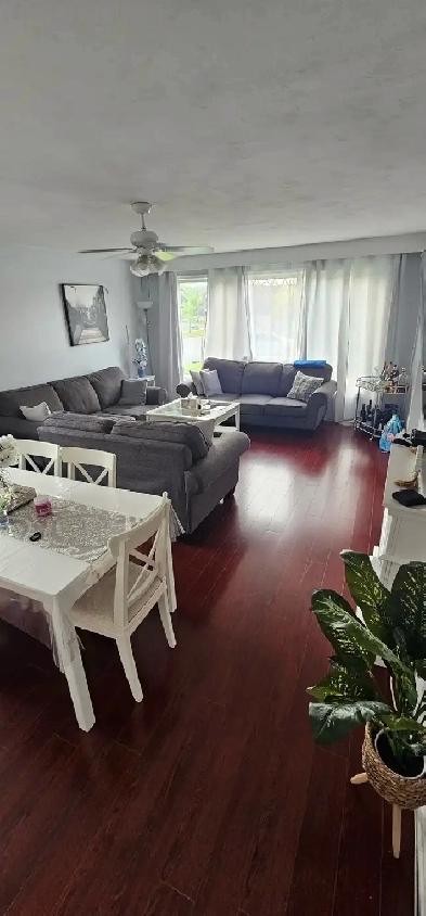 house for rent Image# 3