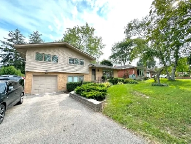 3 bedroom detached house for lease in Kitchener Image# 10