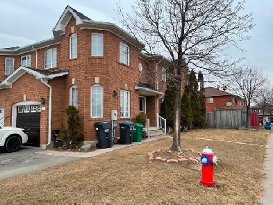 1 1 bedroom basment in brampton Image# 2