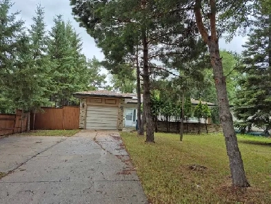 4 bedroom bungalow for rent near UofM Image# 6