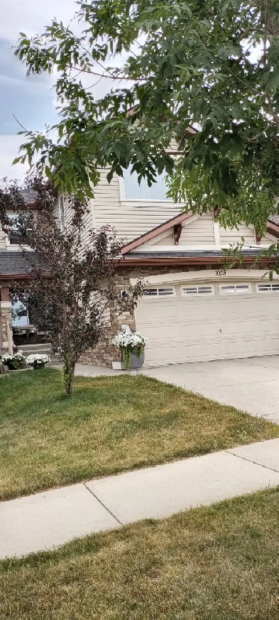 Kincora NW 1 Bdrm in Shared home Move in ready MALE only Image# 7