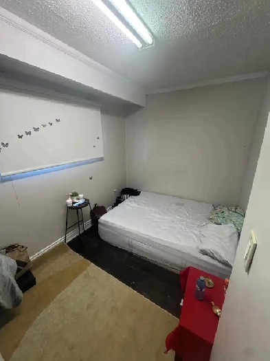 Private room available in spacious basement Image# 1