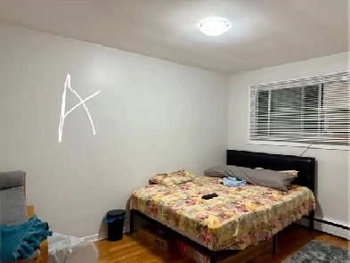 2 rooms for rent in an apartment Image# 2