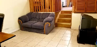 Large walkout  2-bedroom Basement, Seneca, Finch/Don Mills Image# 1