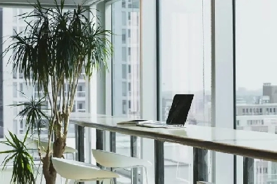 Partner With a Brokerage That Invests in You Image# 1