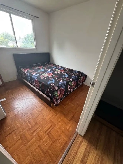 Room for rent near Sheridan college Image# 4