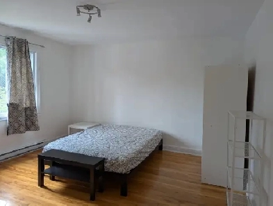 Furnished Room in  Côte-des-Neiges Image# 8