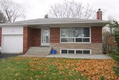Large 3BR Main Floor - Martin Grove and Rexdale Blvd Image# 6