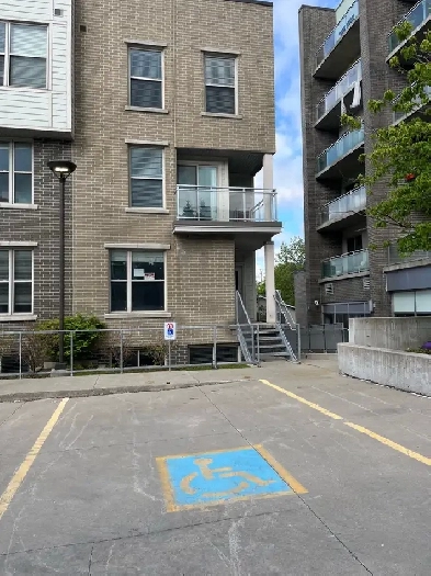 Waterloo Student Rental Image# 10